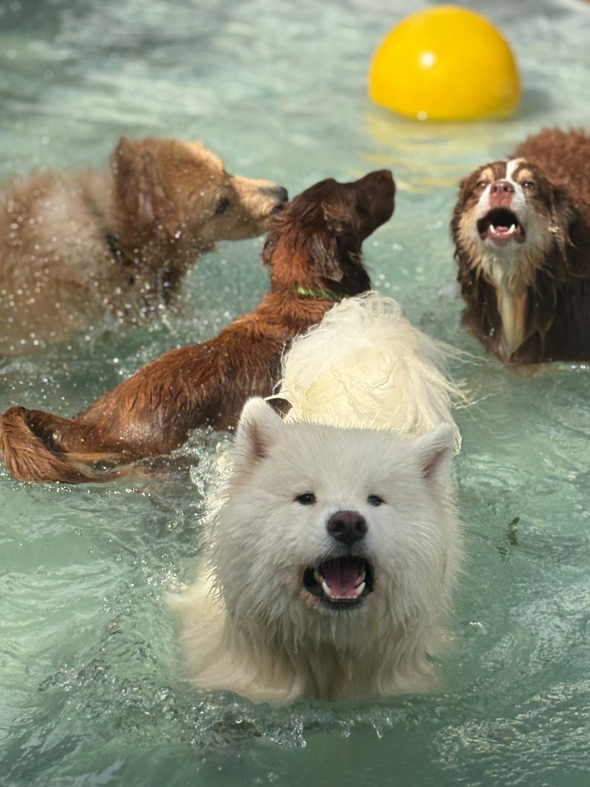 1576b340-c60c-41d9-aa24-29a22d88709b