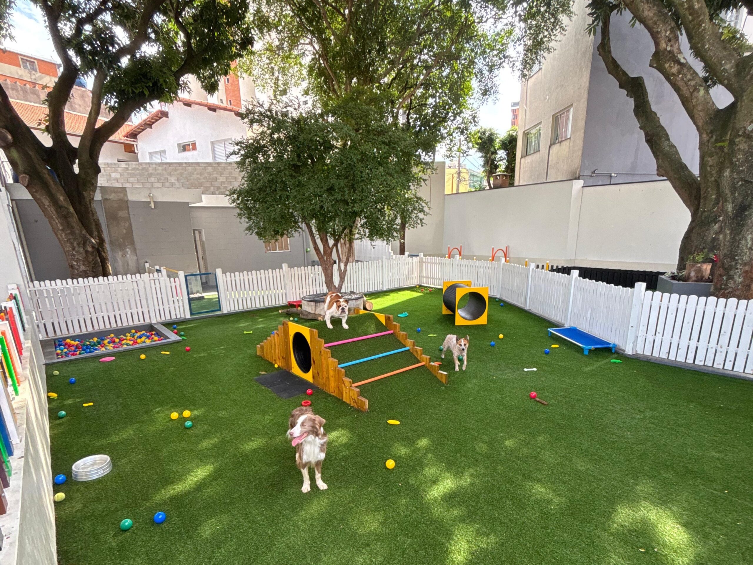 163eb041-5ac4-42c1-9c4f-e3e66dcd078f