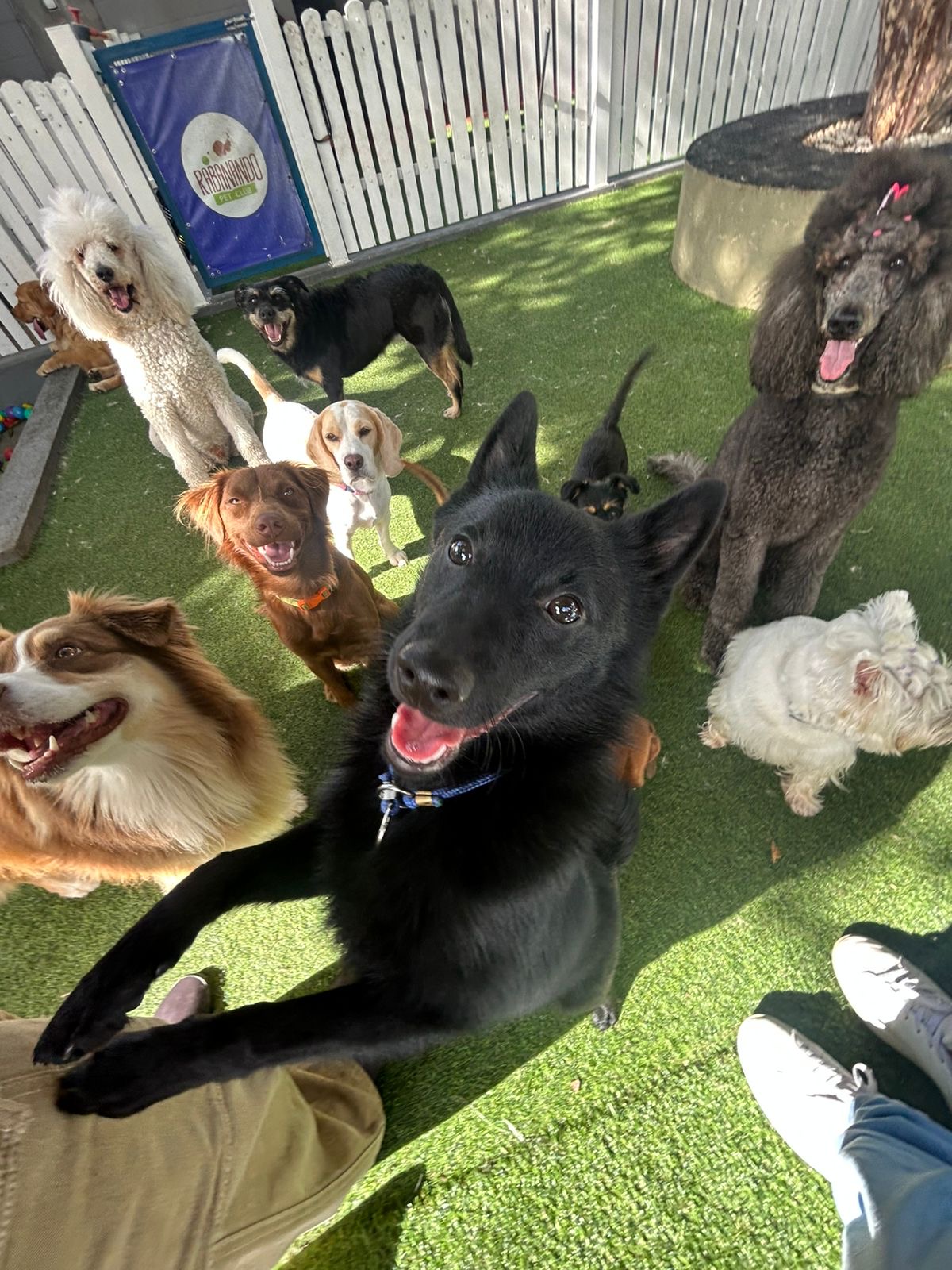 2469611a-c2a2-403d-ae6c-20a0c76cd79a