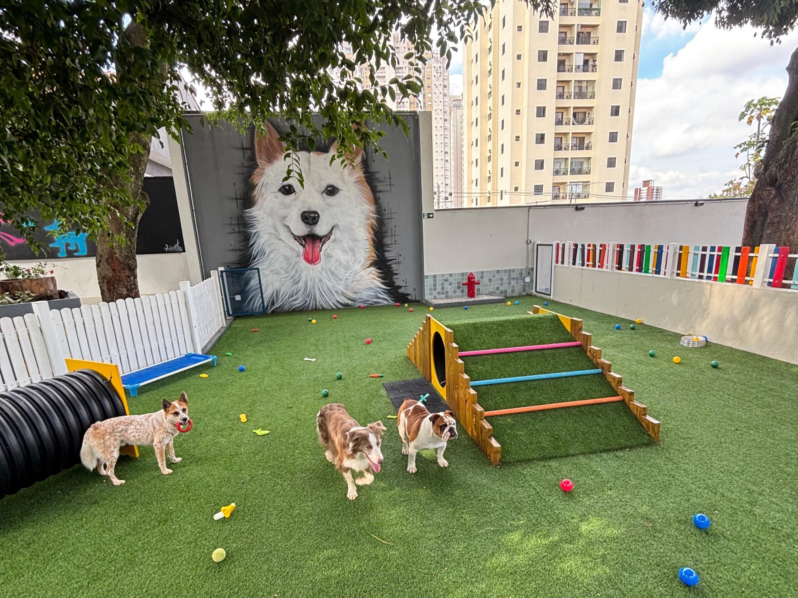 2fc47bf8-64d9-4918-aeed-7029d3e18921