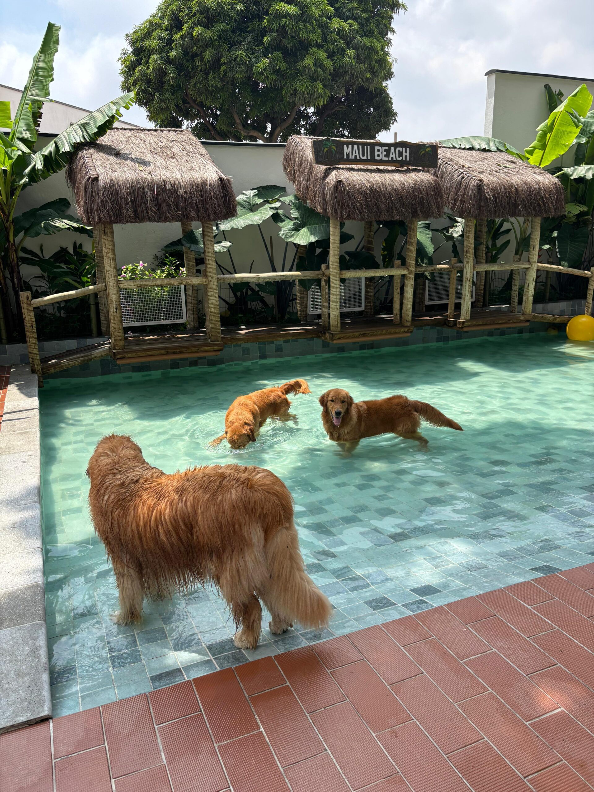 7cb767bc-b308-4277-b834-315d848a971d