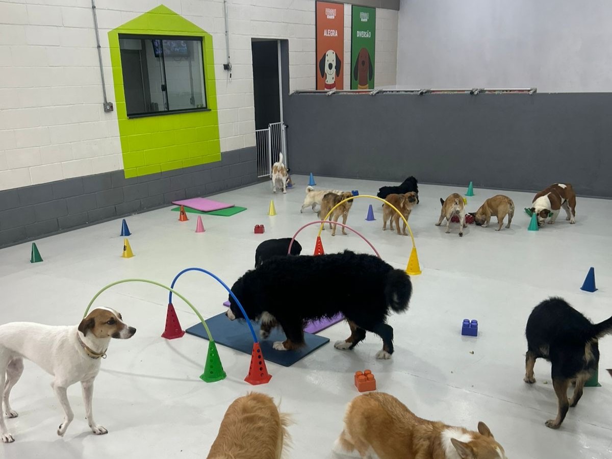 ae77d3bb-6f24-4272-b3c9-a9c1367af7e4