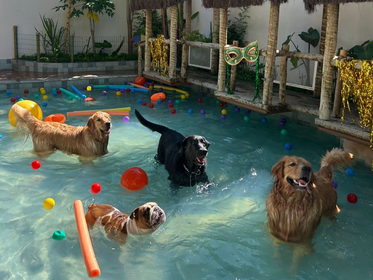 bf58dba9-02d2-42f9-957d-d0a061862abd