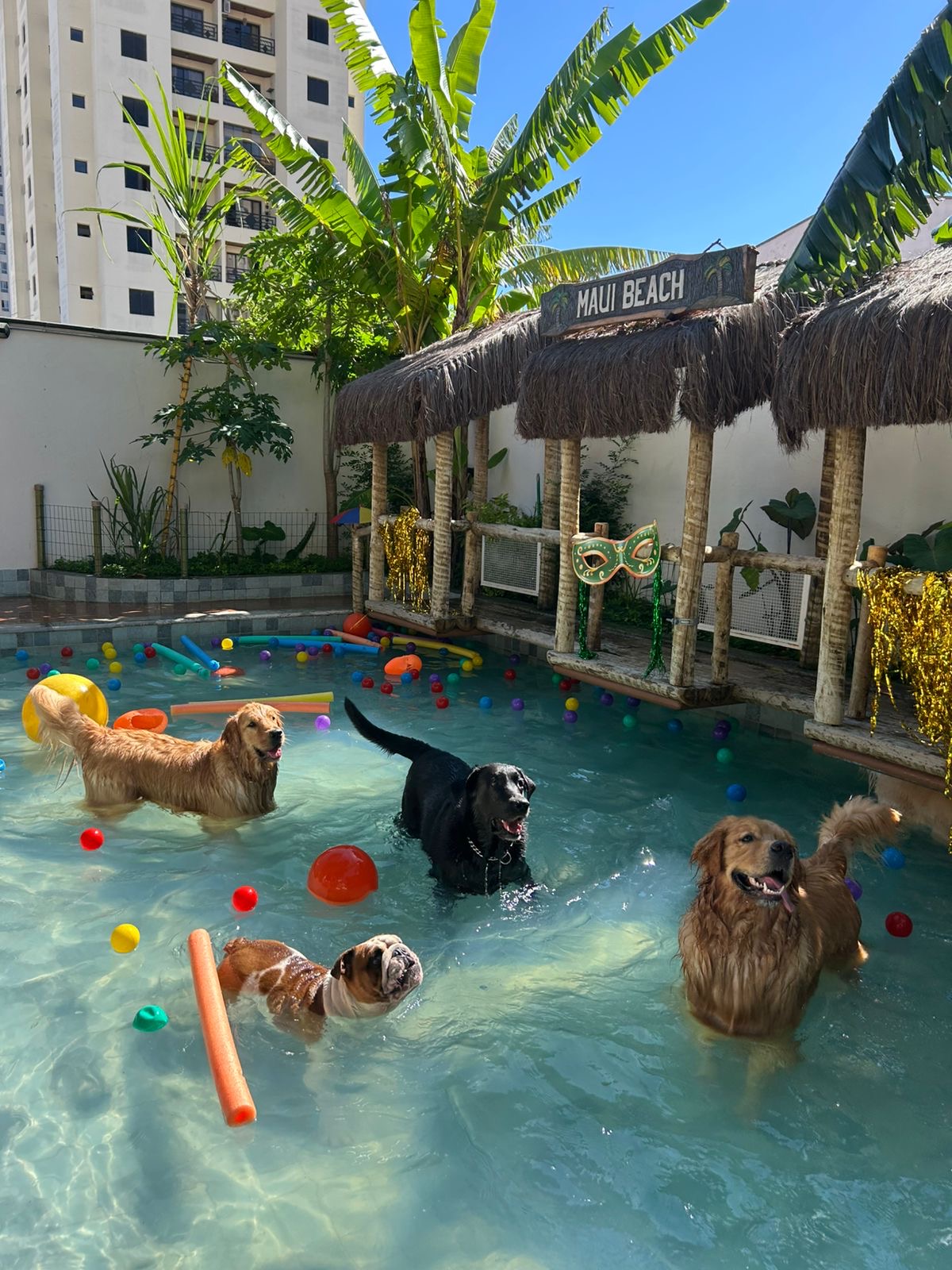 bf58dba9-02d2-42f9-957d-d0a061862abd