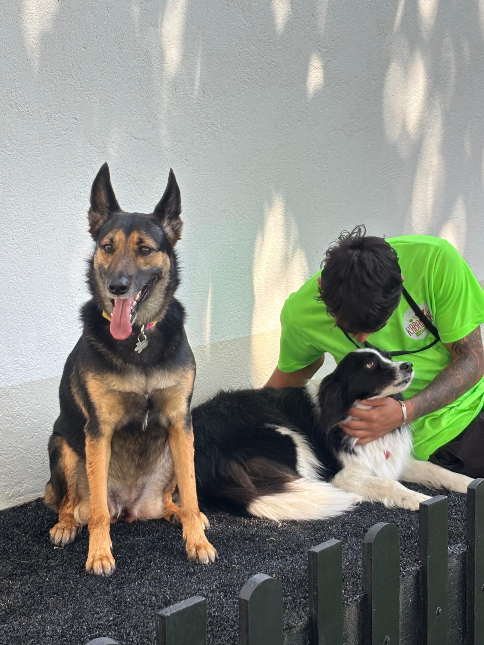 c2a1a394-2a0a-43b5-8106-700ce1b18fa9