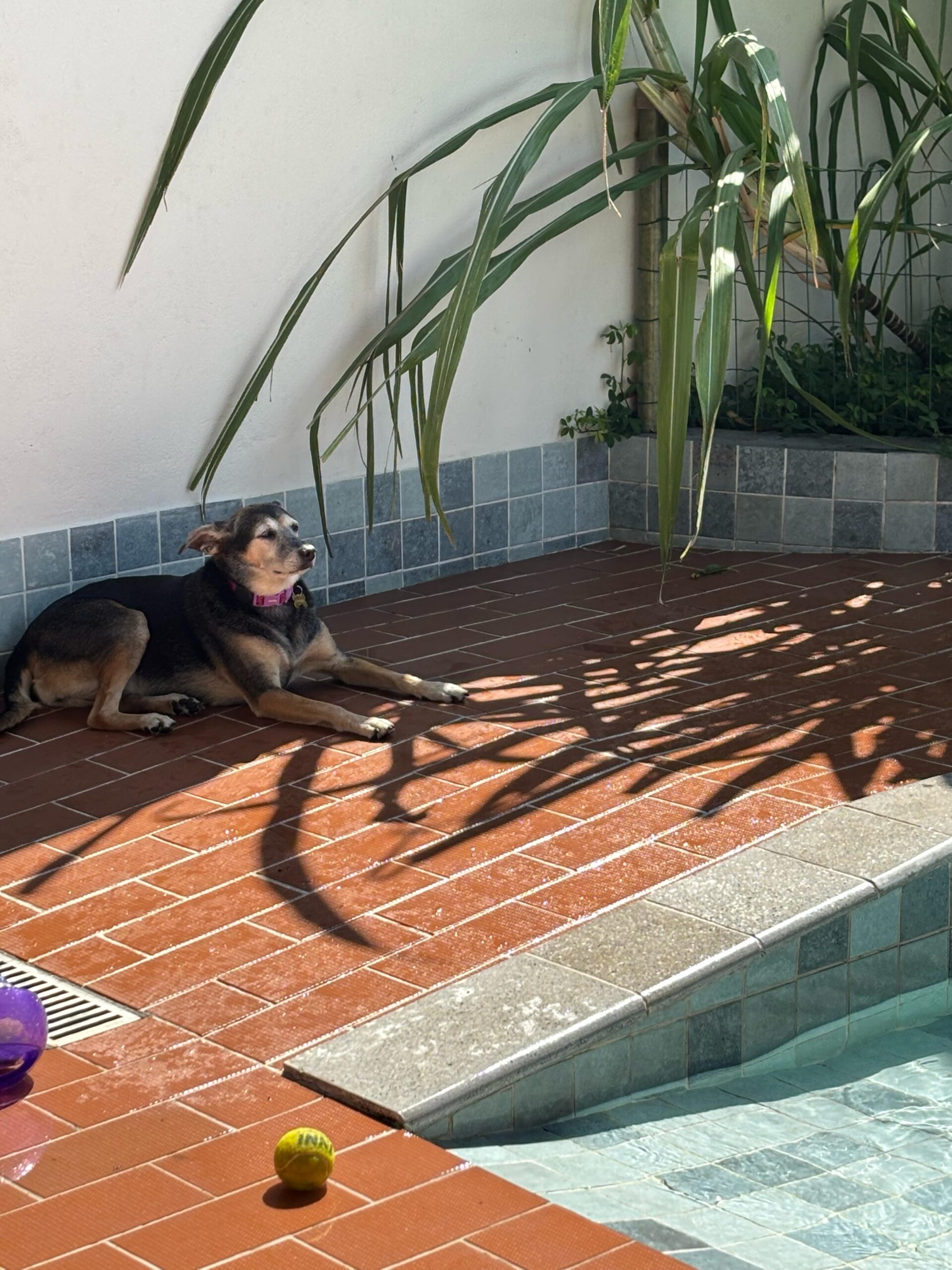 d26ea3a8-580b-4e1e-bbf1-4ade798848e4