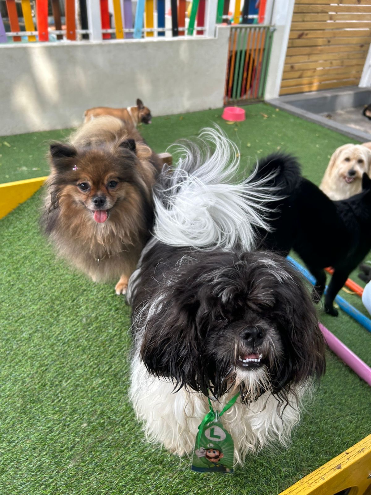 d56c22d1-cef8-4c48-989a-ab3bd7566e2e