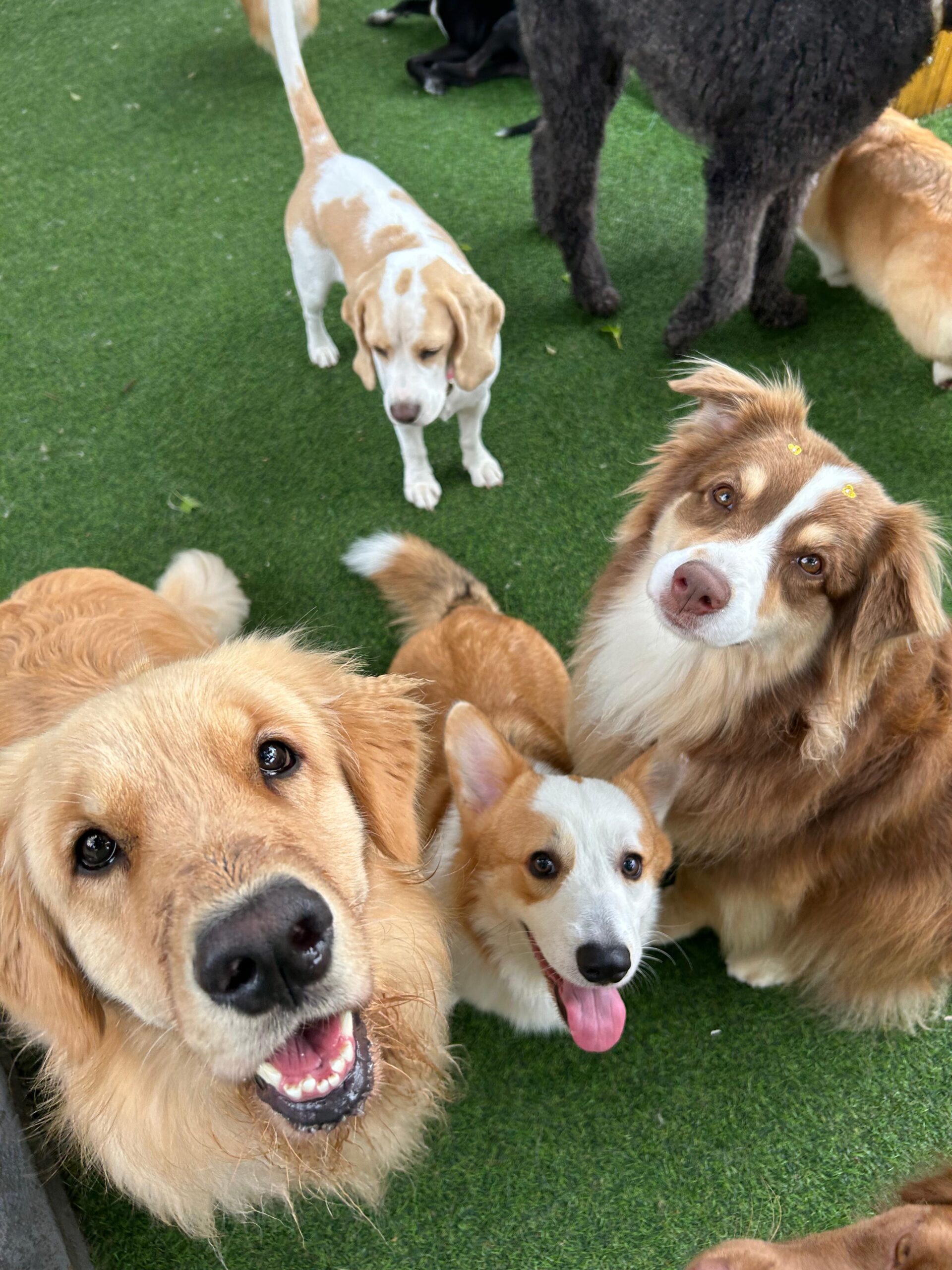 fa3e6053-194a-4c04-b4c8-5b07931f0299