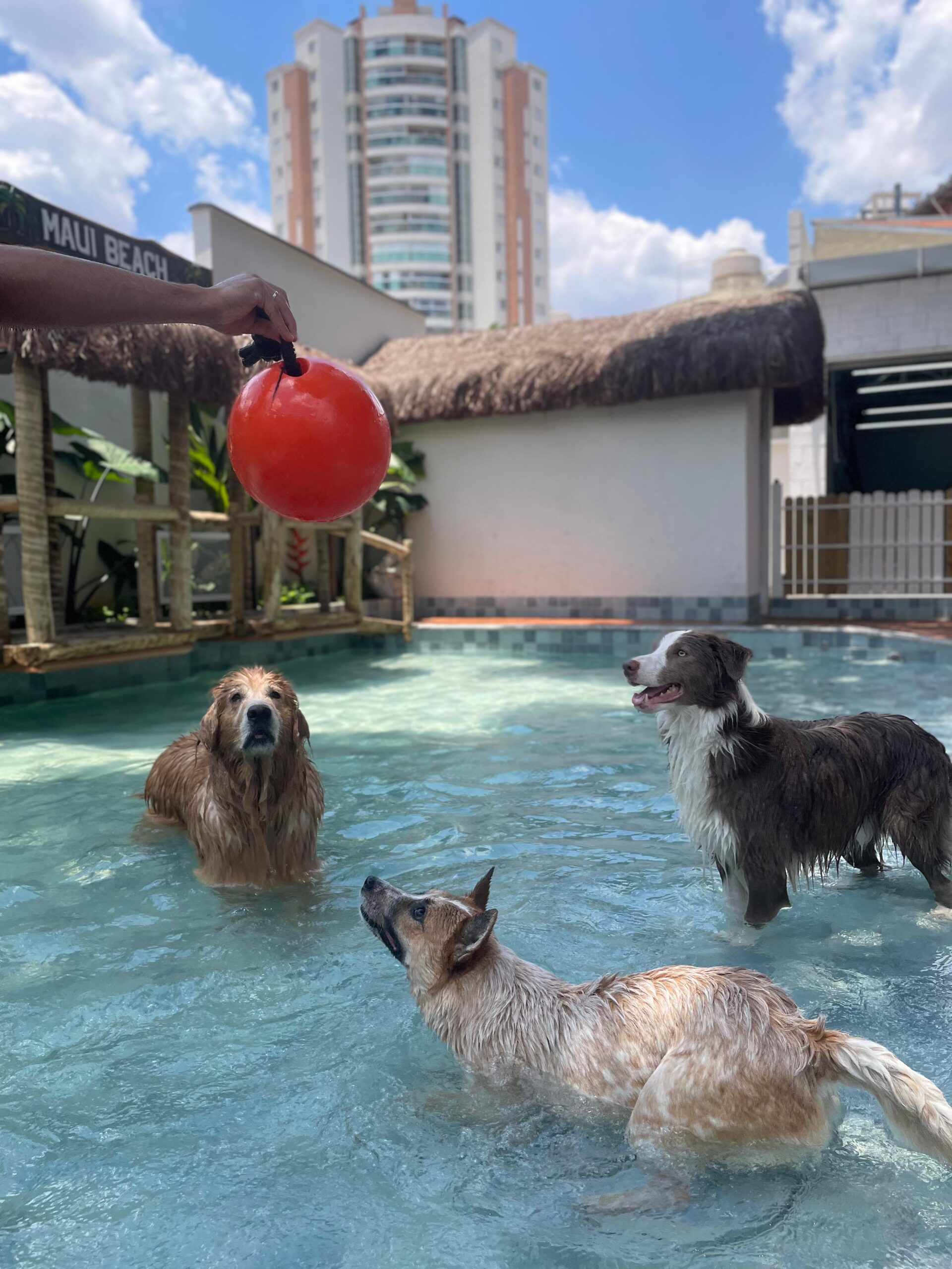 ffb6de4e-5532-47df-911c-7517e2e1fed1